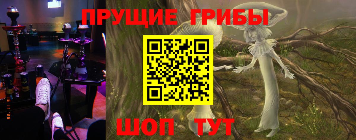Галлюциногенные грибы ЛСД  наркошоп  Ногинск  Псилоцибиновые грибы Psilocybe  Вход с VPN 